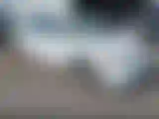 Vehicle Image- 2008 Honda Civic