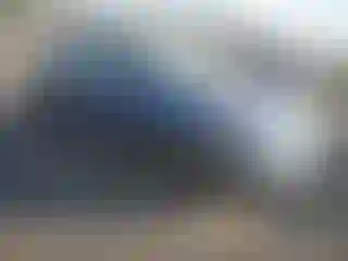 Vehicle Image- 2008 Honda Civic