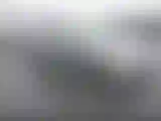 Vehicle Image- 2006 Honda Civic