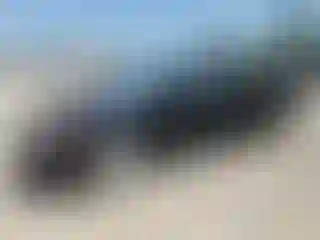Vehicle Image- 2006 Honda Civic
