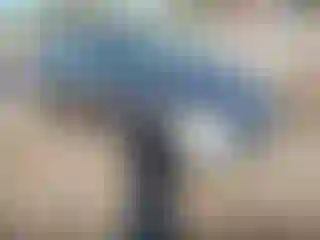 Vehicle Image- 2008 Honda Civic