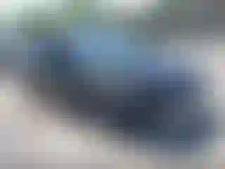 Vehicle Image- 2008 Honda Civic