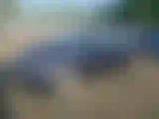 Vehicle Image- 2009 Honda Civic