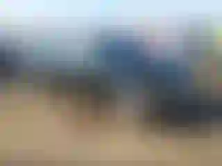 Vehicle Image- 2007 Honda Civic