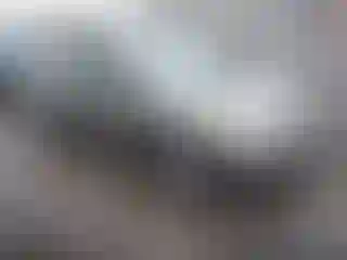 Vehicle Image- 2006 Honda Civic