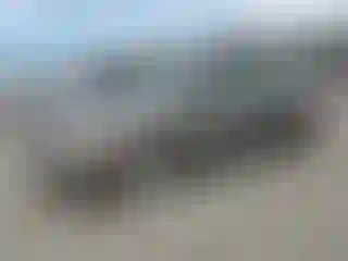 Vehicle Image- 2006 Honda Civic