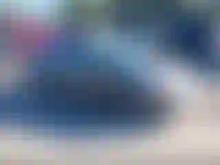 Vehicle Image- 2006 Honda Civic