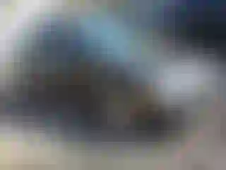 Vehicle Image- 2007 Honda Civic