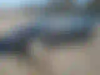 Vehicle Image- 2008 Honda Civic