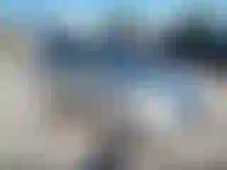 Vehicle Image- 2008 Honda Civic