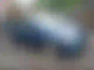 Vehicle Image- 2008 Honda Civic