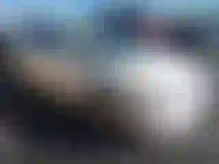 Vehicle Image- 2006 Honda Civic