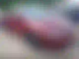 Vehicle Image- 2006 Honda Civic