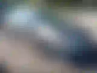 Vehicle Image- 2008 Honda Civic