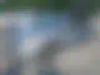 Vehicle Image- 2008 Honda Civic