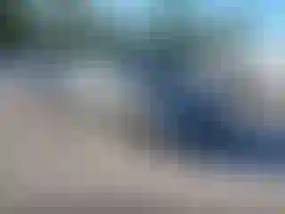 Vehicle Image- 2008 Honda Civic