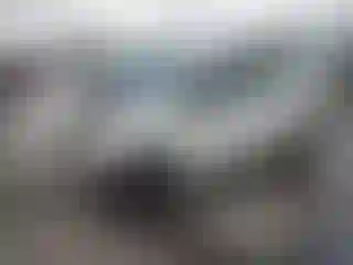 Vehicle Image- 2007 Honda Civic