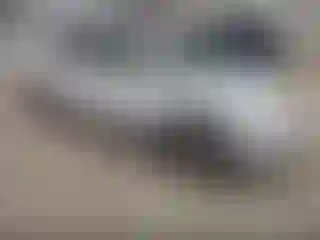 Vehicle Image- 2006 Honda Civic