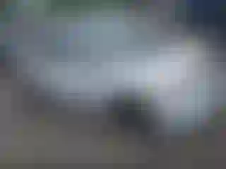 Vehicle Image- 2008 Honda Civic