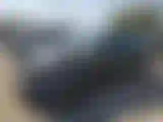 Vehicle Image- 2009 Honda Civic