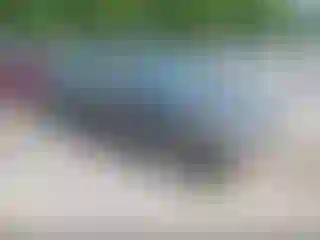 Vehicle Image- 2009 Honda Civic