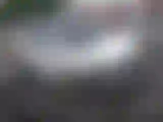 Vehicle Image- 2009 Honda Civic