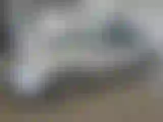 Vehicle Image- 2006 Honda Civic