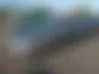 Vehicle Image- 2009 Honda Civic