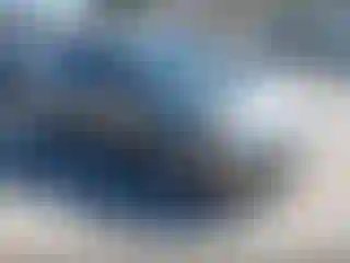 Vehicle Image- 2007 Honda Civic