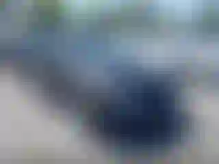 Vehicle Image- 2006 Honda Civic