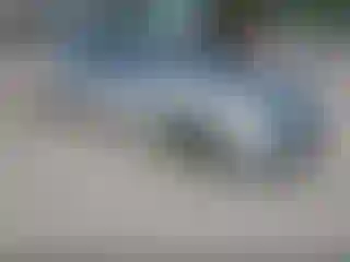 Vehicle Image- 2008 Honda Civic