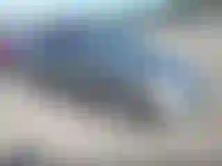 Vehicle Image- 2008 Honda Civic