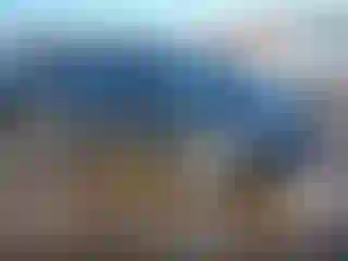 Vehicle Image- 2008 Honda Civic