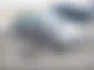 Vehicle Image- 2009 Honda Civic