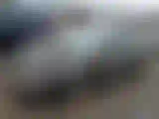 Vehicle Image- 2006 Honda Civic