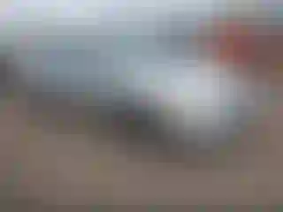 Vehicle Image- 2006 Honda Civic