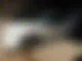 Vehicle Image- 2008 Honda Civic