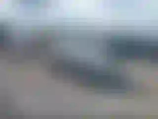 Vehicle Image- 2008 Honda Civic