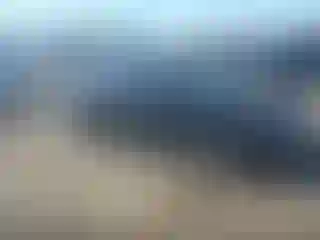 Vehicle Image- 2009 Honda Civic