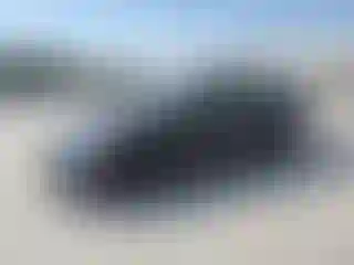 Vehicle Image- 2008 Honda Civic