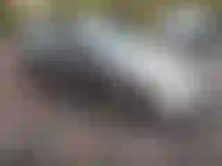 Vehicle Image- 2009 Honda Civic