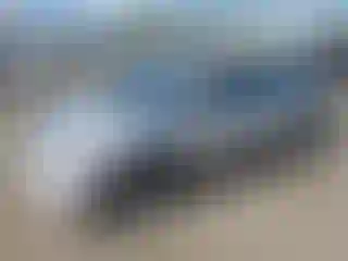 Vehicle Image- 2010 Honda Civic