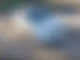 Vehicle Image- 2010 Honda Civic