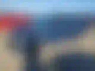 Vehicle Image- 2010 Honda Civic