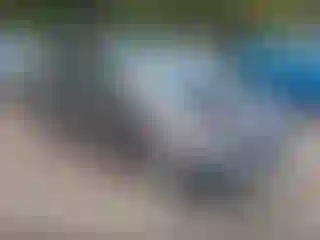 Vehicle Image- 2011 Honda Civic