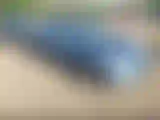 Vehicle Image- 2010 Honda Civic