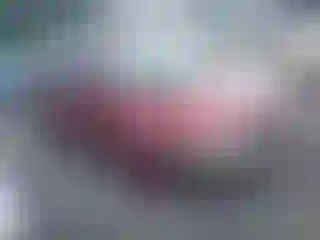 Vehicle Image- 2011 Honda Civic