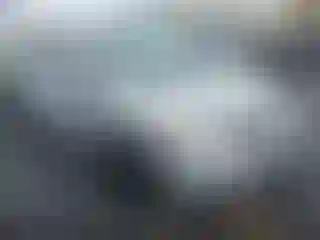 Vehicle Image- 2011 Honda Civic