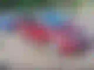 Vehicle Image- 2010 Honda Civic