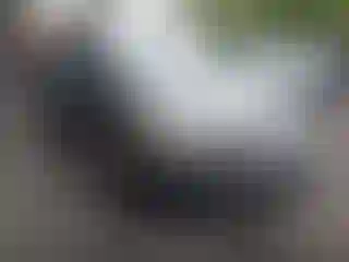 Vehicle Image- 2010 Honda Civic